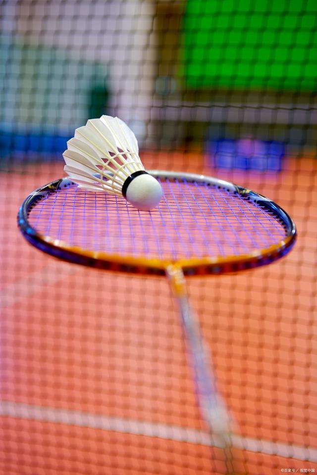 速引发球迷 速引发球迷