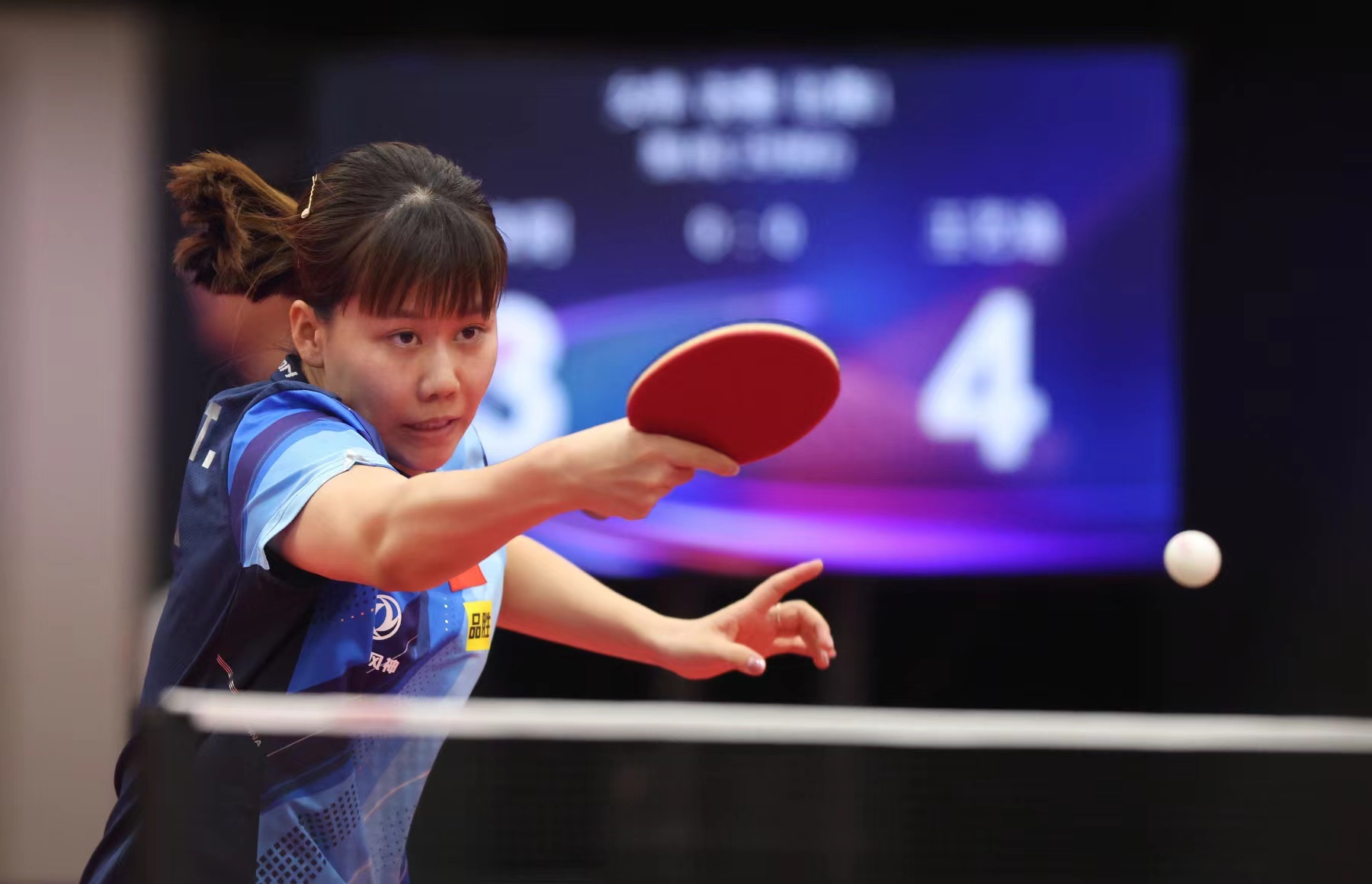 激情与理性 激情与理性