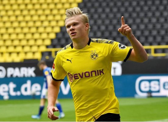 树立了全新 树立了全新